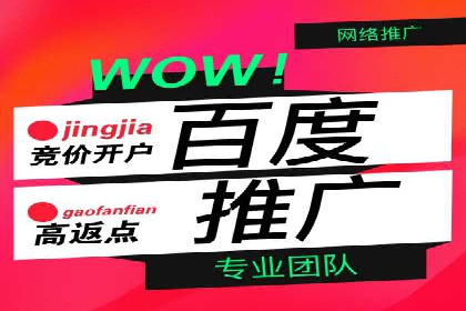 百度推广托管实战案例，揭秘高效广告投放技巧